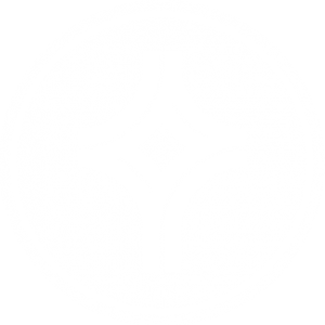 OSC Icon White